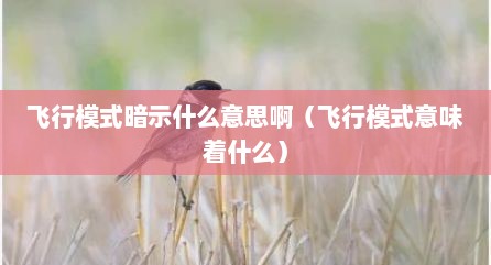 飞行模式暗示什么意思啊（飞行模式意味着什么）