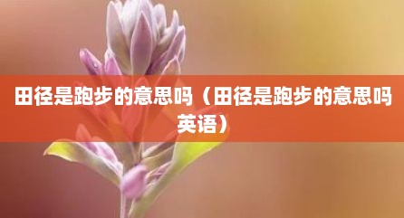 田径是跑步的意思吗（田径是跑步的意思吗英语）