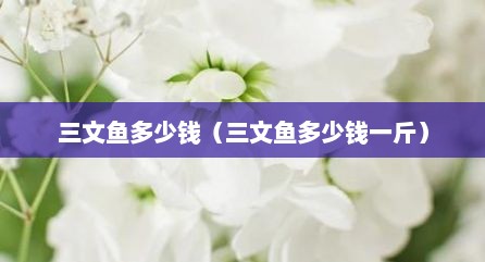 三文鱼多少钱（三文鱼多少钱一斤）