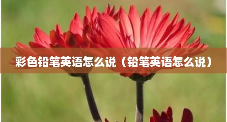 彩色铅笔英语怎么说（铅笔英语怎么说）