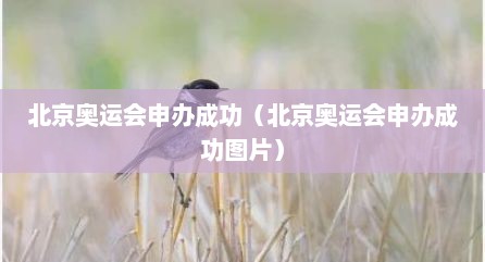 北京奥运会申办成功（北京奥运会申办成功图片）