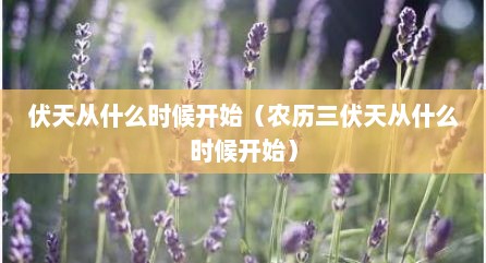 伏天从什么时候开始（农历三伏天从什么时候开始）