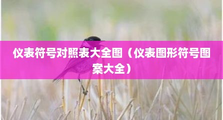 仪表符号对照表大全图（仪表图形符号图案大全）