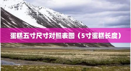 蛋糕五寸尺寸对照表图（5寸蛋糕长度）
