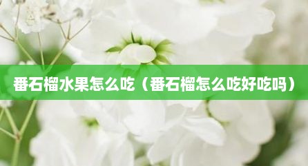 番石榴水果怎么吃（番石榴怎么吃好吃吗）