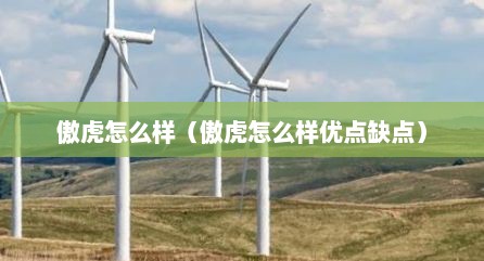 傲虎怎么样（傲虎怎么样优点缺点）