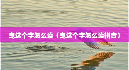 曳这个字怎么读（曳这个字怎么读拼音）