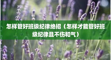 怎样管好班级纪律绝招（怎样才能管好班级纪律且不伤和气）