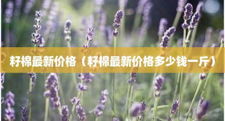 籽棉最新价格（籽棉最新价格多少钱一斤）