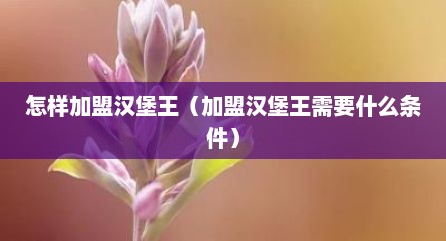 怎样加盟汉堡王（加盟汉堡王需要什么条件）