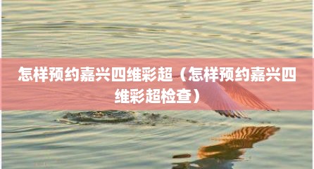 怎样预约嘉兴四维彩超（怎样预约嘉兴四维彩超检查）
