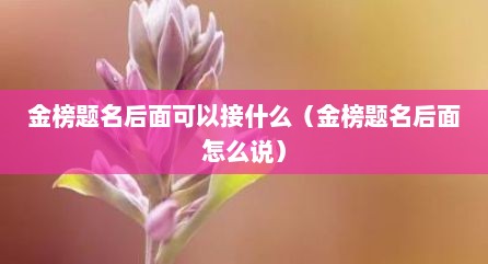 金榜题名后面可以接什么（金榜题名后面怎么说）