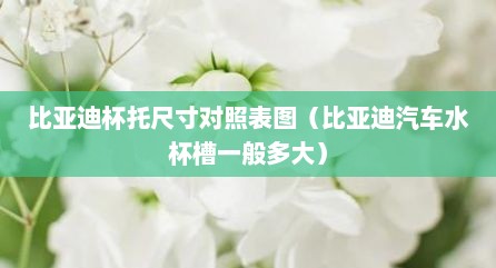 比亚迪杯托尺寸对照表图（比亚迪汽车水杯槽一般多大）