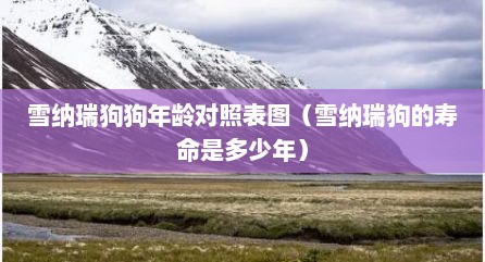 雪纳瑞狗狗年龄对照表图（雪纳瑞狗的寿命是多少年）