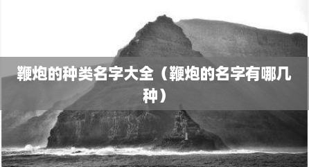 鞭炮的种类名字大全（鞭炮的名字有哪几种）