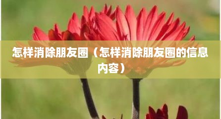 怎样消除朋友圈（怎样消除朋友圈的信息内容）