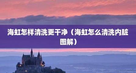 海虹怎样清洗更干净（海虹怎么清洗内脏图解）