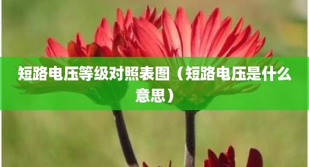 短路电压等级对照表图（短路电压是什么意思）