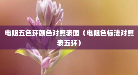 电阻五色环颜色对照表图（电阻色标法对照表五环）