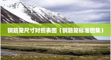 钢筋笼尺寸对照表图（钢筋笼标准图集）