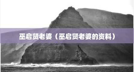 巫启贤老婆（巫启贤老婆的资料）