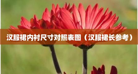 汉服裙内衬尺寸对照表图（汉服裙长参考）