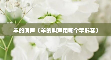 羊的叫声（羊的叫声用哪个字形容）