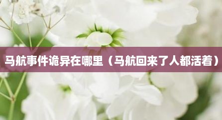 马航事件诡异在哪里（马航回来了人都活着）