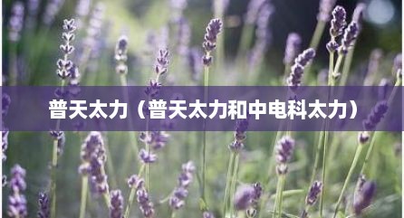 普天太力（普天太力和中电科太力）