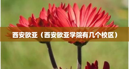 西安欧亚（西安欧亚学院有几个校区）
