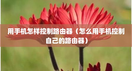 用手机怎样控制路由器（怎么用手机控制自己的路由器）