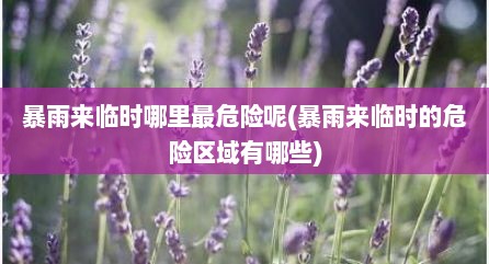 暴雨来临时哪里最危险呢(暴雨来临时的危险区域有哪些)