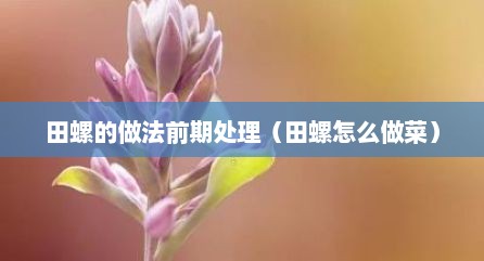 田螺的做法前期处理（田螺怎么做菜）