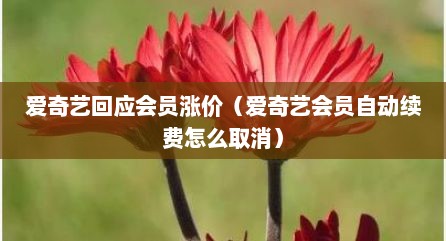 爱奇艺回应会员涨价（爱奇艺会员自动续费怎么取消）