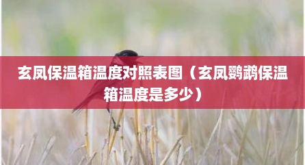 玄凤保温箱温度对照表图（玄凤鹦鹉保温箱温度是多少）