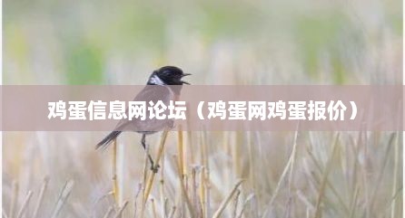 鸡蛋信息网论坛（鸡蛋网鸡蛋报价）