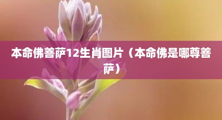 本命佛菩萨12生肖图片（本命佛是哪尊菩萨）