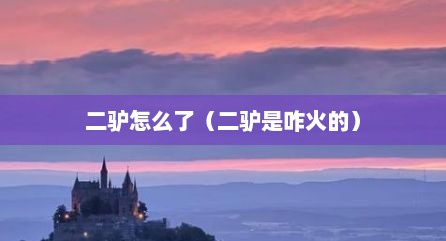 二驴怎么了（二驴是咋火的）