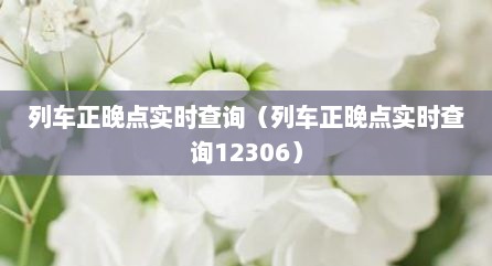 列车正晚点实时查询（列车正晚点实时查询12306）