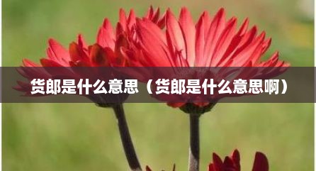 货郎是什么意思（货郎是什么意思啊）