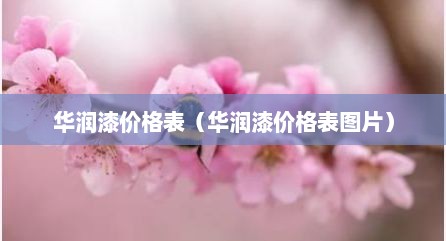 华润漆价格表（华润漆价格表图片）