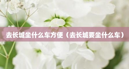 去长城坐什么车方便（去长城要坐什么车）