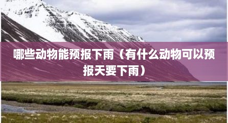 哪些动物能预报下雨（有什么动物可以预报天要下雨）