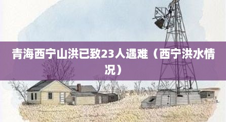 青海西宁山洪已玫23人遇难（西宁洪水情况）