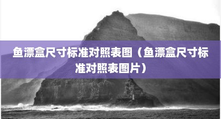 鱼漂盒尺寸标准对照表图（鱼漂盒尺寸标准对照表图片）