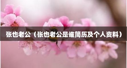 张也老公（张也老公是谁简历及个人资料）