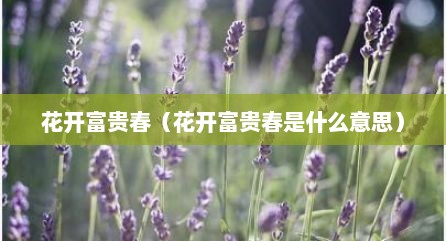 花开富贵春（花开富贵春是什么意思）