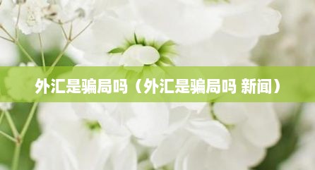 外汇是骗局吗（外汇是骗局吗 新闻）