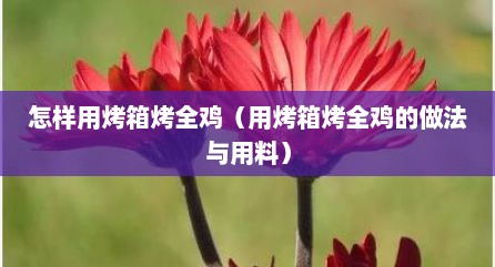 怎样用烤箱烤全鸡（用烤箱烤全鸡的做法与用料）