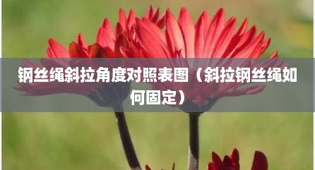 钢丝绳斜拉角度对照表图（斜拉钢丝绳如何固定）